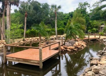 Custom Backyard pond dock, observation deck and bulkhead