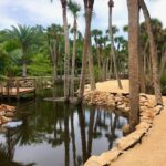 Fresh Water Pond with Bulkhead Landscaping and Observation deck